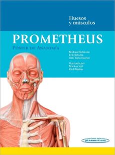 prometheus. poster de anatomia-michael schunke-erik shulte-9788498359619