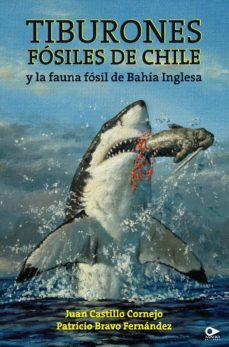 tiburones fosiles de chile y la fauna fosil de bahia inglesa (ebook)-juan castillo cornejo-patricio bravo fernandez-9789563173819