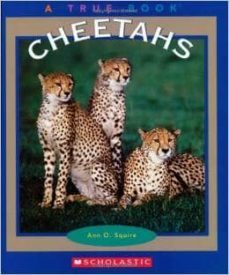 cheetahs-ann o squire-9780516279329
