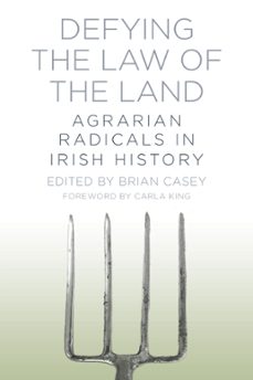 defying the law of the land (ebook)-brian casey-9780752499529