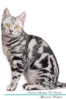 american shorthair cat affirmations workbook american shorthair cat presents-9781526965929