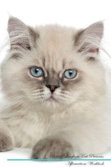 british longhair cat affirmations workbook british longhair cat presents-9781526967329