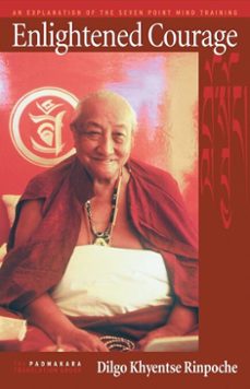 enlightened courage (ebook)-dilgo khyentse-9781559399029