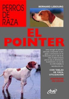 el pointer-9781644613429