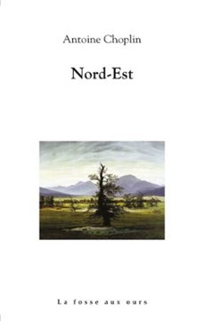 nord-est (ebook)-antoine choplin-9782357071629