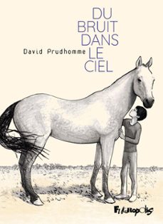 du bruit dans le ciel (ebook)-david prudhomme-9782754821629