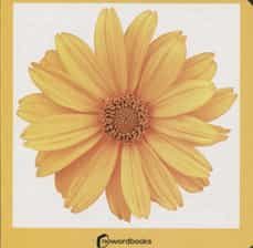 amarillo (ed. carton)-9788412534429