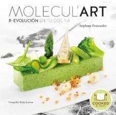 molecul'art (ebook)-stephane poussardin-9788416715329
