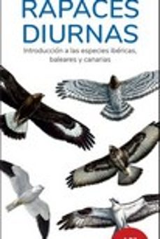 rapaces diurnas 18º edicion - guias desplegables tundra-9788419624529