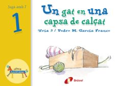 un gat en una capsa de calçat-9788483041529