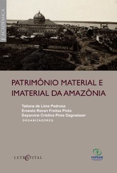 patrimonio material e imaterial da amazonia (ebook)-tatiana de lima pedrosa-ernesto renan freitas pinto-dayannne cristine pires dagnaisser-9788577858729