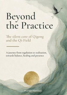 beyond the practice-martijn vlamings-9789403960029