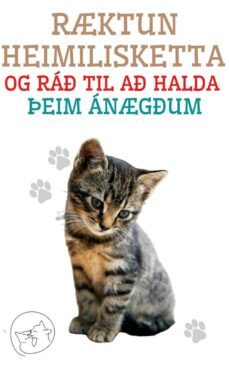 rktun heimilisketta og ra til a halda eim angum (ebook)-9791222411729