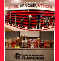 a sala de trofeus do flamengo. (ebook)-edmilson pereira da silva-3410008053439