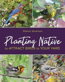 -sharon sorenson-9780811767439