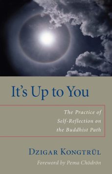 it's up to you (ebook)-dzigar kongtrul-helen berliner-9780834824539