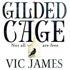 -vic james-9781509837939