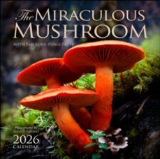 the miraculous mushroom 2026 wall calendar-9781524898939