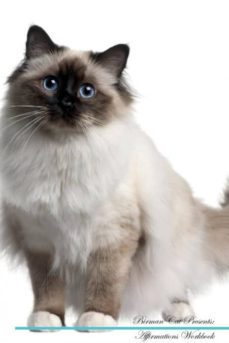 birman cat affirmations workbook birman cat presents-9781526966339