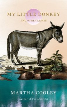 my little donkey (ebook)-martha cooley-9781646223039