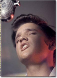 alfred wertheimer. elvis and the birth of rock and roll-robert santelli-9783836534239