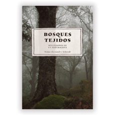-mateo hernandez schimdt-9786287806139
