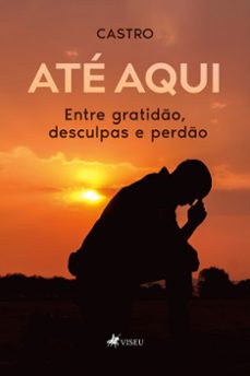 ate aqui, entre gratido, desculpas e perdo (ebook)-9786525410739
