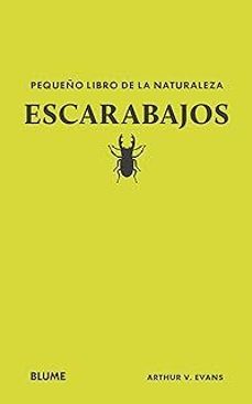 pequeño libro de la naturaleza. escarabajos-arthur v evans-9788410268739