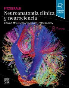 fitzgerald. neuroanatomia clinica y neurociencia (8ª ed.)-e. mtui-9788413820439