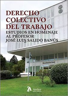 derecho colectivo del trabajo.estudios en homenaje al profesor jose luis salido banus-jose ignacio garcia ninet-9788419773739