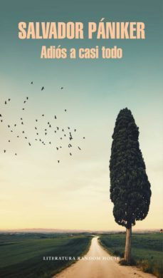 adiós a casi todo (diarios de pániker 5) (ebook)-salvador paniker-9788439732839