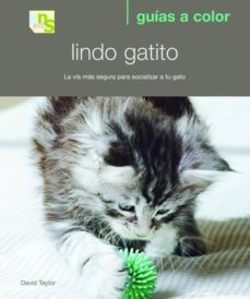lindo gatito: la via mas segura para socializar a tu gato-9788493662639