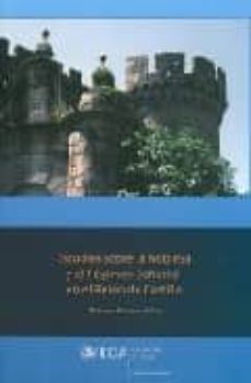 estudios sobre la nobleza y el regimen señorial en el reino de ca stilla-9788498280739