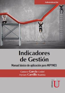 indicadores de gestion (ebook)-9789587625639