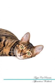 toyger cat affirmations workbook toyger cat presents-9781526976949