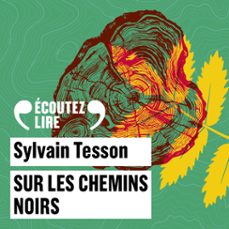 sur les chemins noirs (audiolibro)-sylvain tesson-9782072714849