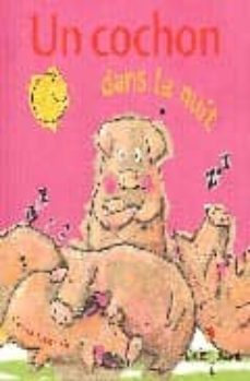 un cochon dans la nuit-cecile hudrisier-9782278050949
