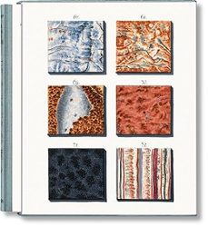 jan christiaan sepp. the book of marble-9783836594349