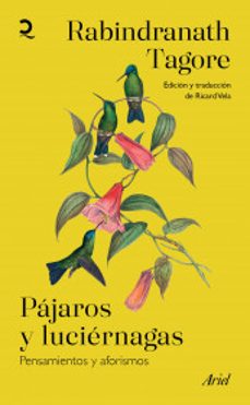 pajaros y luciernagas-9786075696249