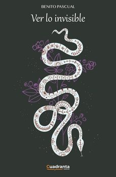 ver lo invisible-benito pascual-9788410125049