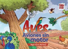 aves, aviones sin motor-angel garcia martinez-9788410329249