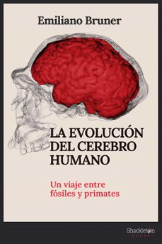 la evolucion del cerebro humano-9788413612249