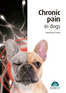 chronic pain in dogs-belen ruano puente-9788417225049