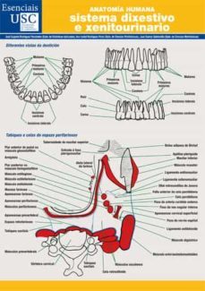 anatomia humana-jose eugenio rodriguez fernandez-9788417595449