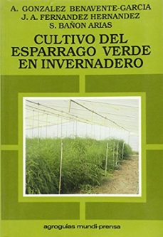 cultivo del esparrago verde en invernadero-alberto gonzalez benavente garcia-juan antonio fernandez hernandez-9788471144249