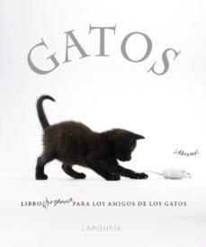gatos-9788480169349