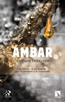 ambar-enrique peñalver-9788483197349