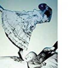 de regreso a nosotros-ana perez cañamares-9788494501449