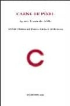 carne de pixel (xxxiv premio de poesia ciudad de burgos)-9788496238749