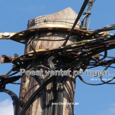 poesien venter p ingen (ebook)-9788743069249